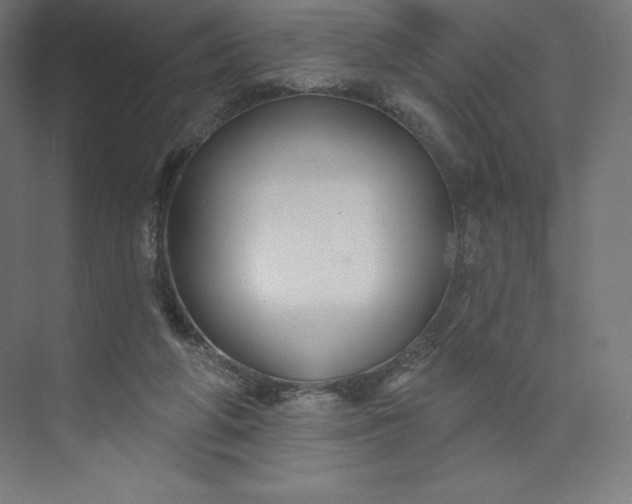 X0000074020210200609061124