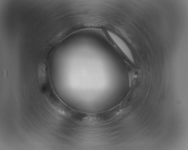 X0000074020211200609061124