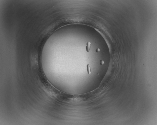X0000074020212200609061124