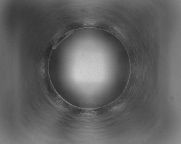 X0000074020215200609061124