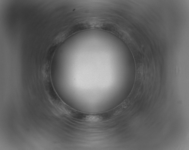 X0000074020218200609061124