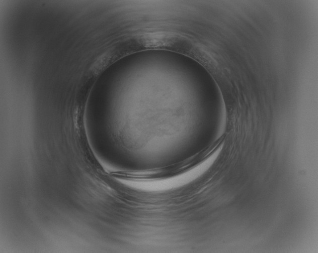 X0000074020219200609061124