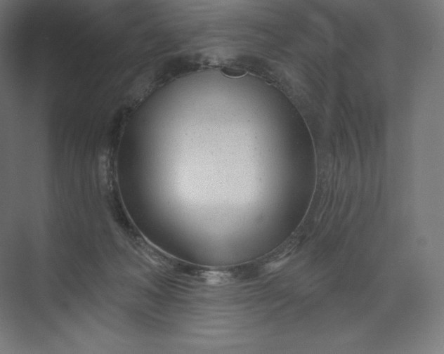 X0000074020222200609061124