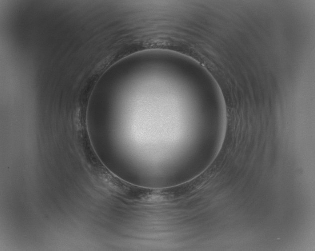 X0000074020224200609061124