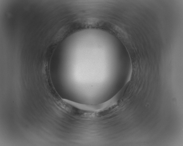 X0000074020225200609061124