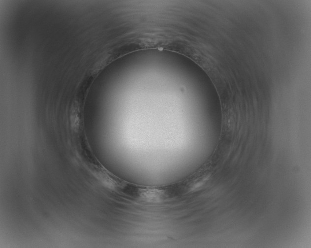 X0000074020226200609061124