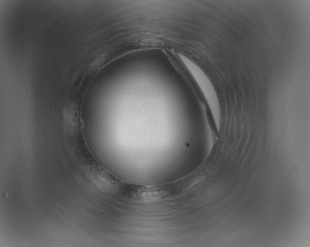 X0000074020228200609061124