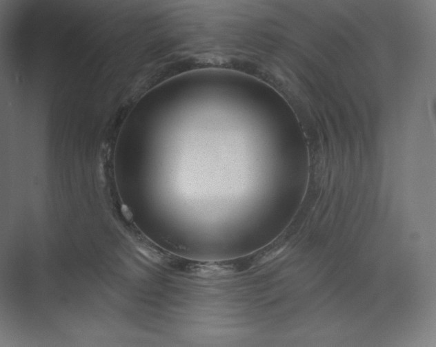 X0000074020229200609061124