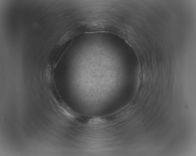 X0000074020231200609061124