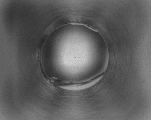 X0000074020233200609061124