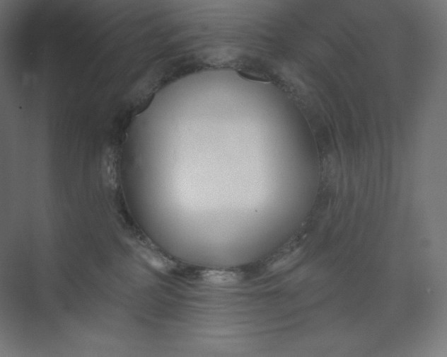 X0000074020234200609061124