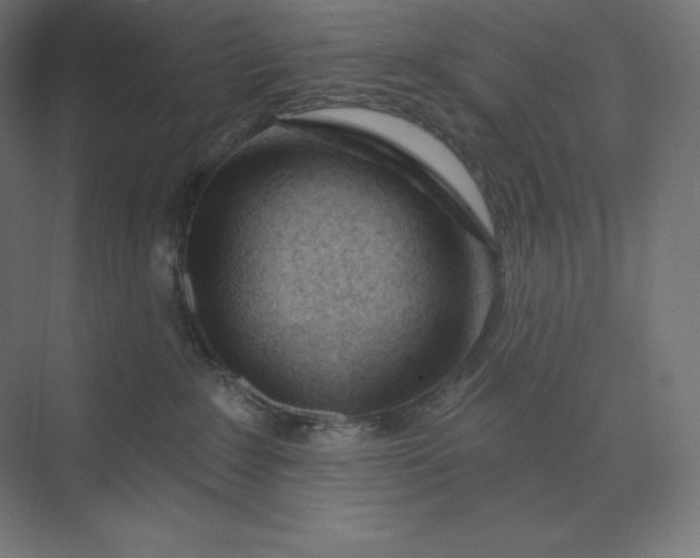 X0000074020235200609061124
