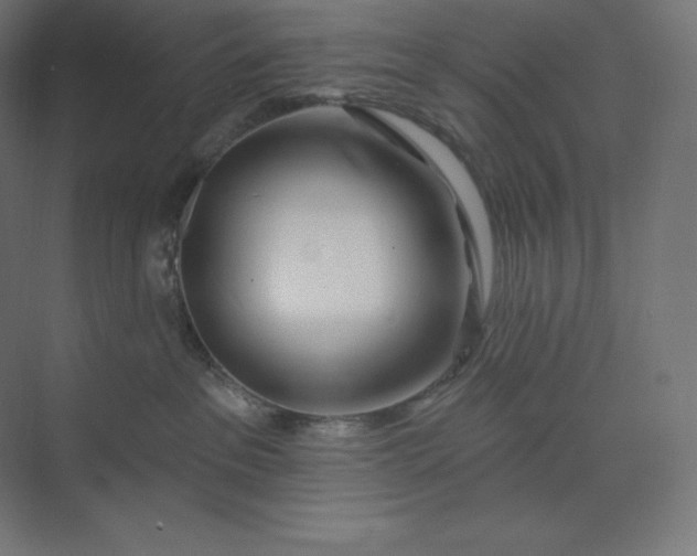 X0000074020237200609061124