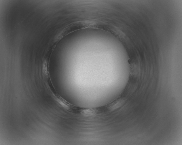 X0000074020238200609061124