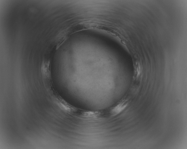 X0000074020239200609061124