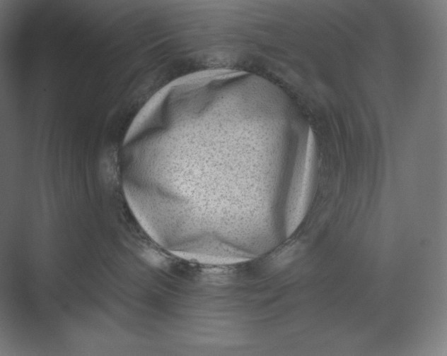 X0000074020240200609061124