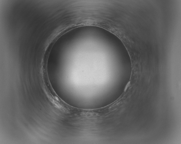 X0000074020242200609061123
