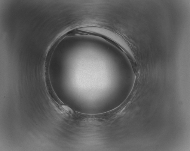 X0000074020244200609061123