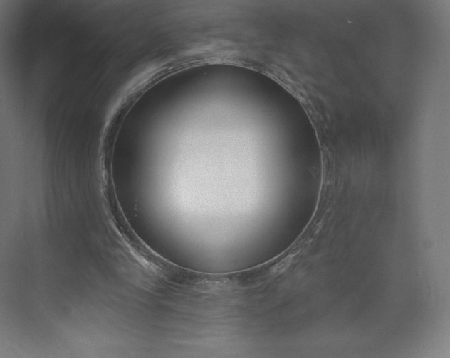 X0000074020245200609061123