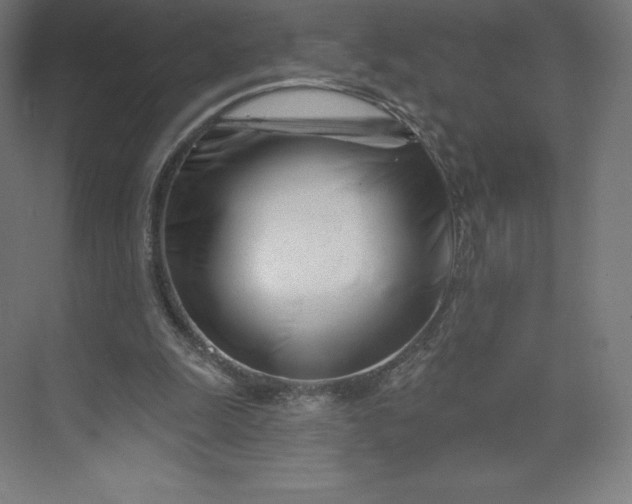 X0000074020247200609061123