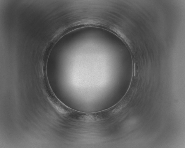 X0000074020253200609061123