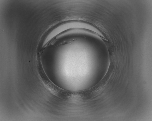 X0000074020256200609061123