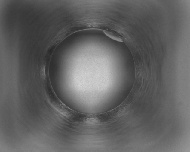 X0000074020262200609061123