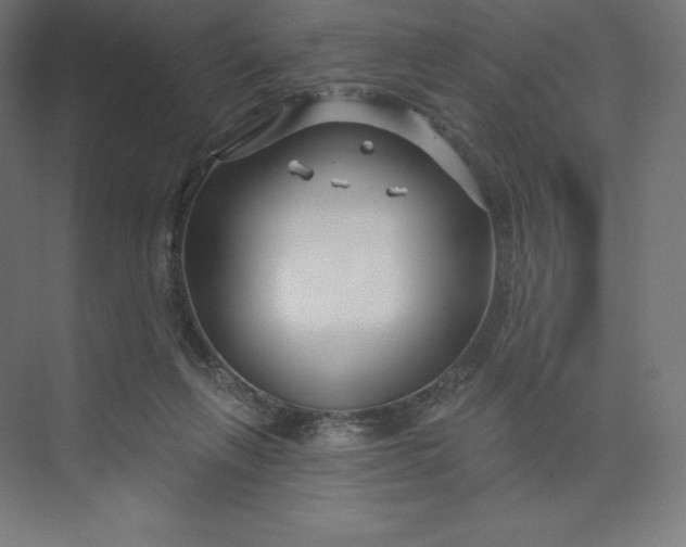 X0000074020263200609061123