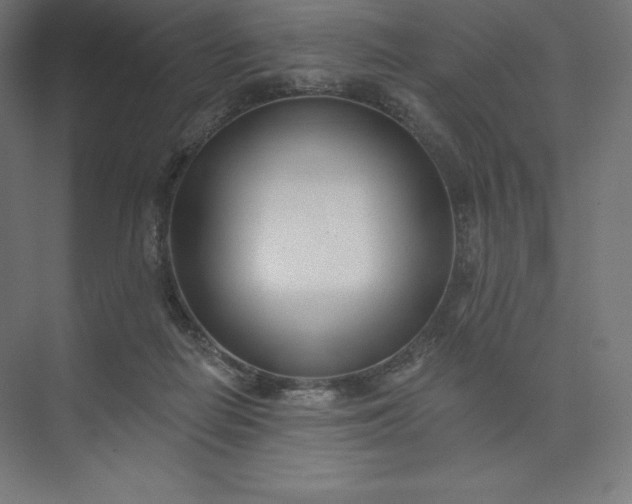 X0000074020266200609061123