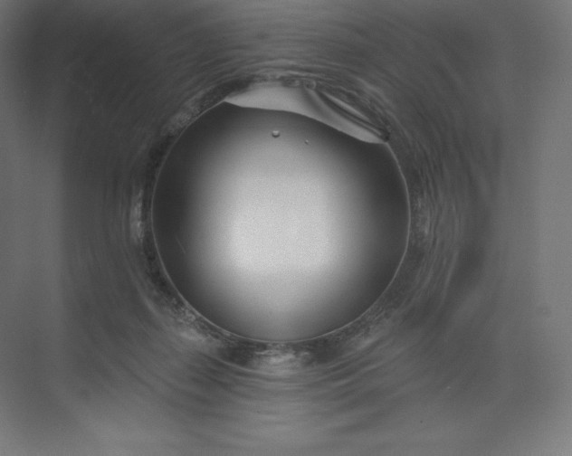 X0000074020267200609061123