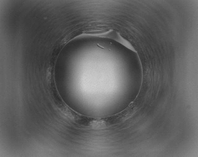 X0000074020271200609061123