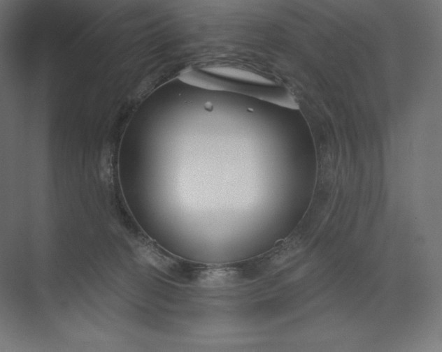 X0000074020274200609061123