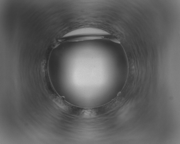 X0000074020275200609061123