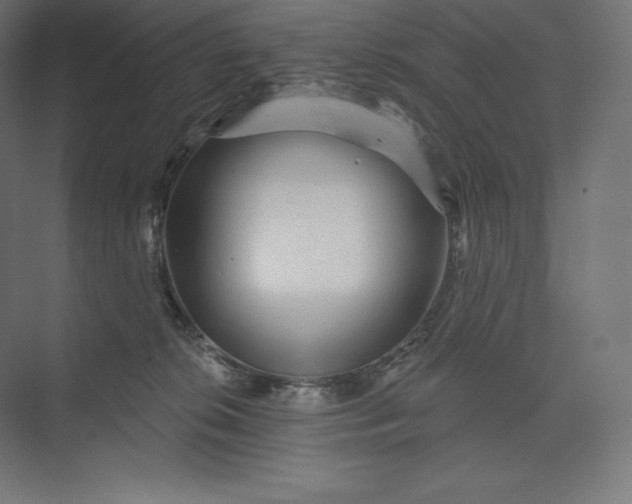 X0000074020276200609061123