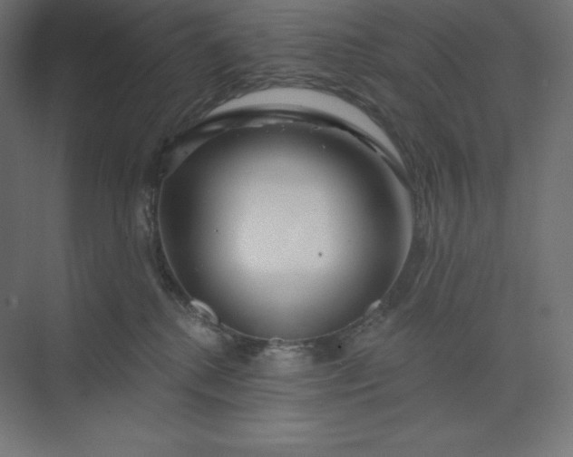 X0000074020280200609061123