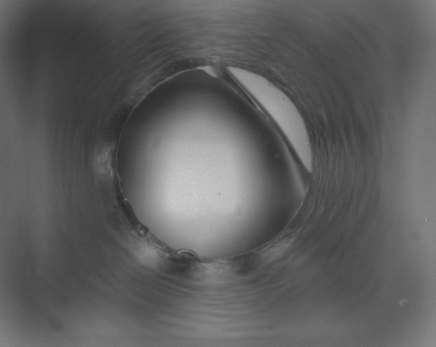 X0000074020286200609061123