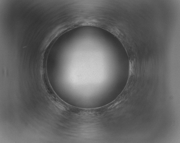 X0000074020291200609061123