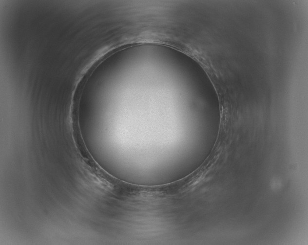 X0000074020292200609061123