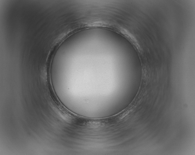 X0000074020298200609061123