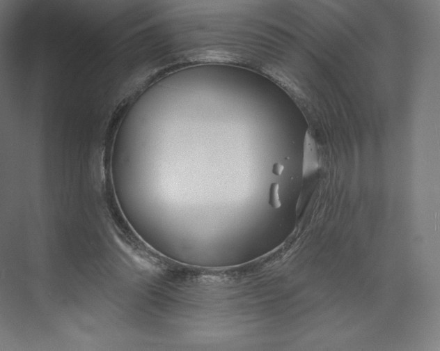 X0000074020302200609061122