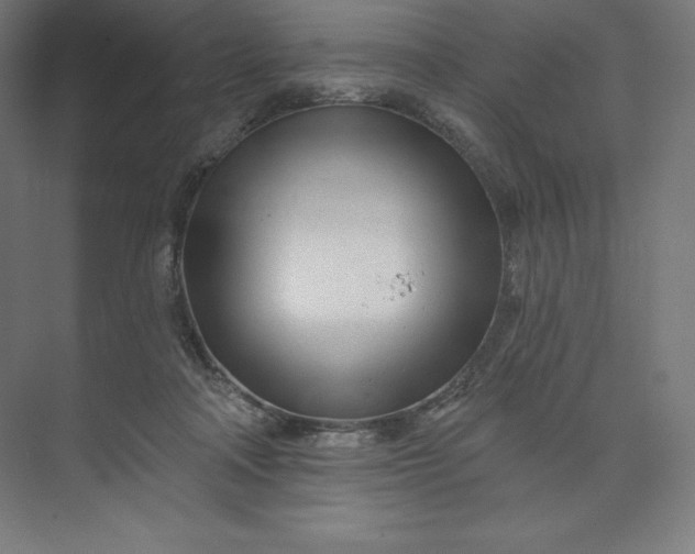 X0000074020314200609061122