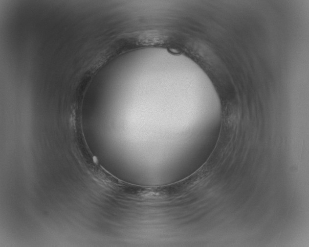 X0000074020315200609061122