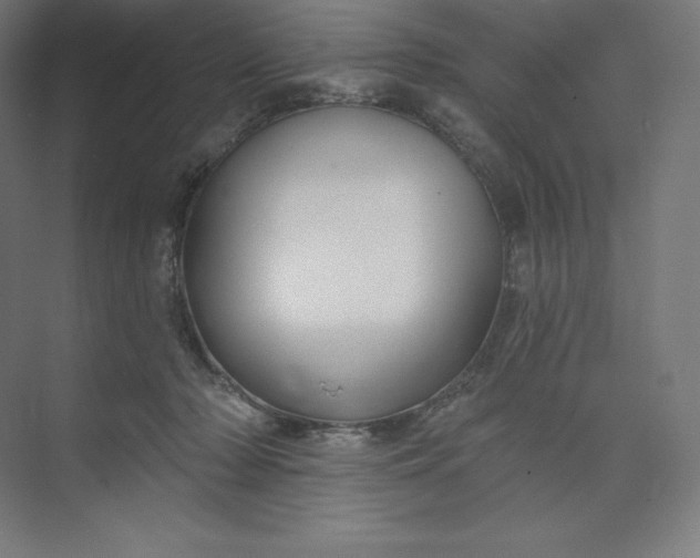 X0000074020318200609061122