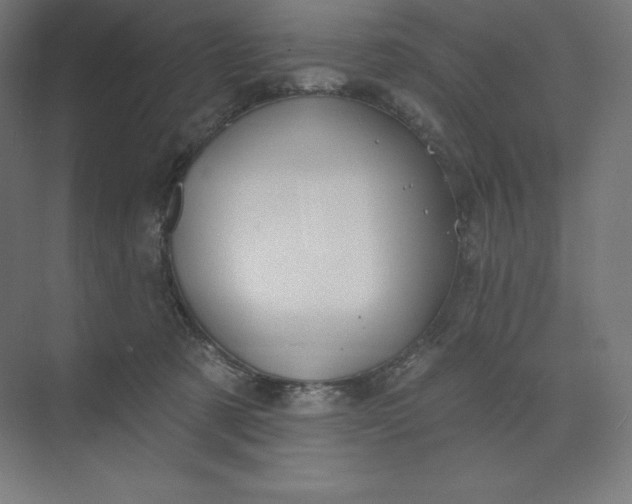X0000074020321200609061122