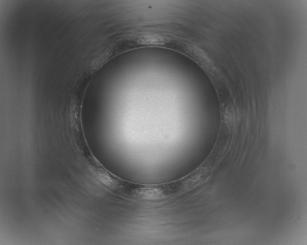 X0000074020322200609061122