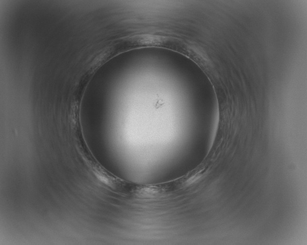 X0000074020325200609061122