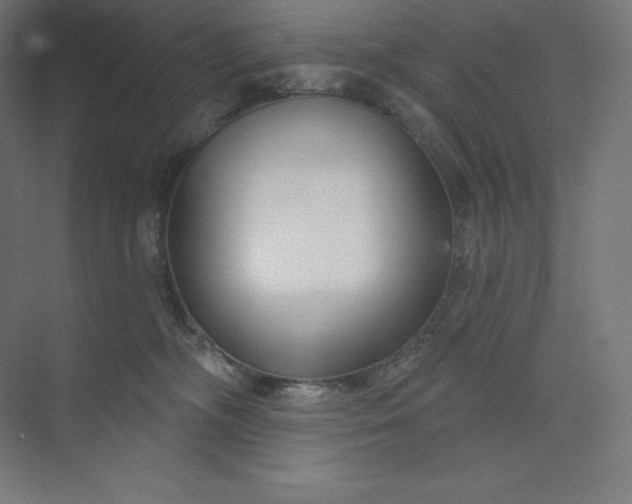 X0000074020326200609061122