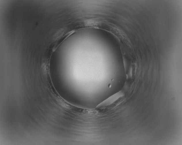 X0000074020329200609061122