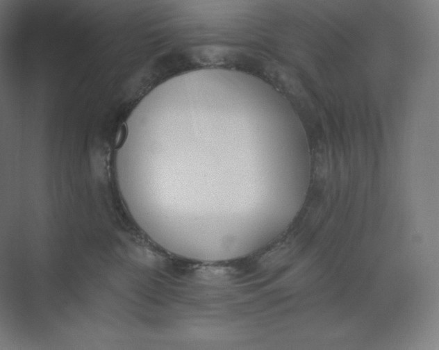 X0000074020332200609061122