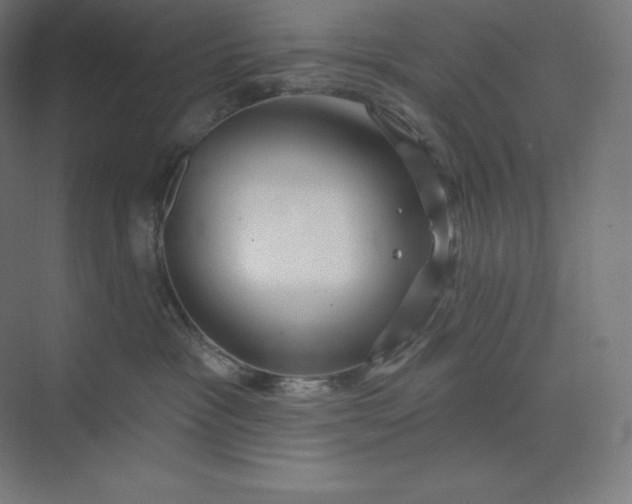 X0000074020333200609061122